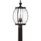Quoizel Oasis Outdoor Post Lantern OAS9009Z - alternate 1